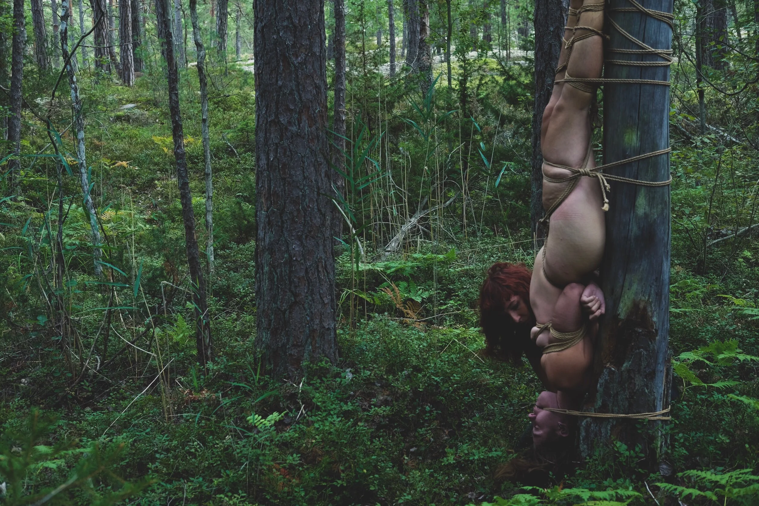 Shibari Calendar 2020 11