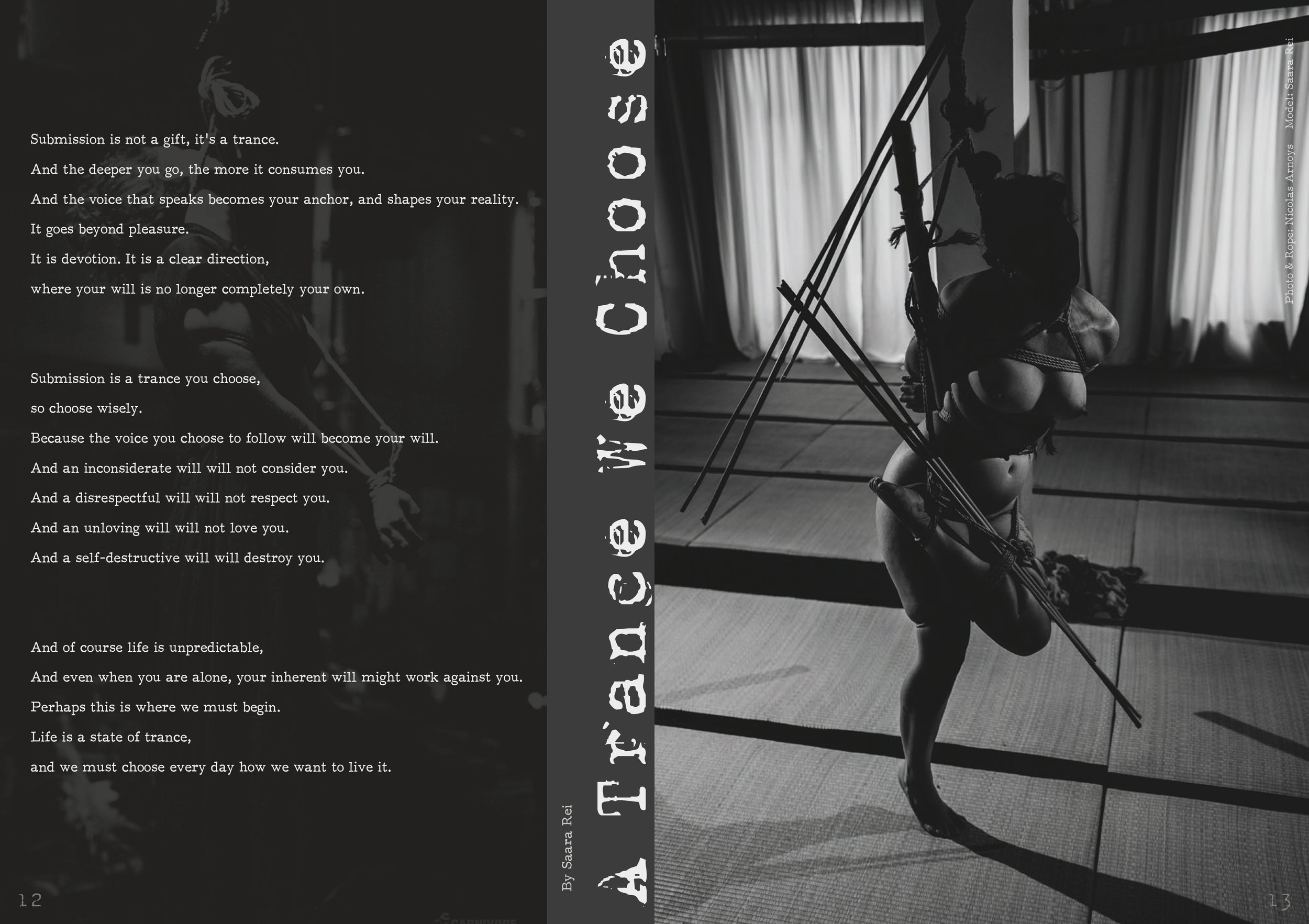Kinbaku Society of Berlin #15 1